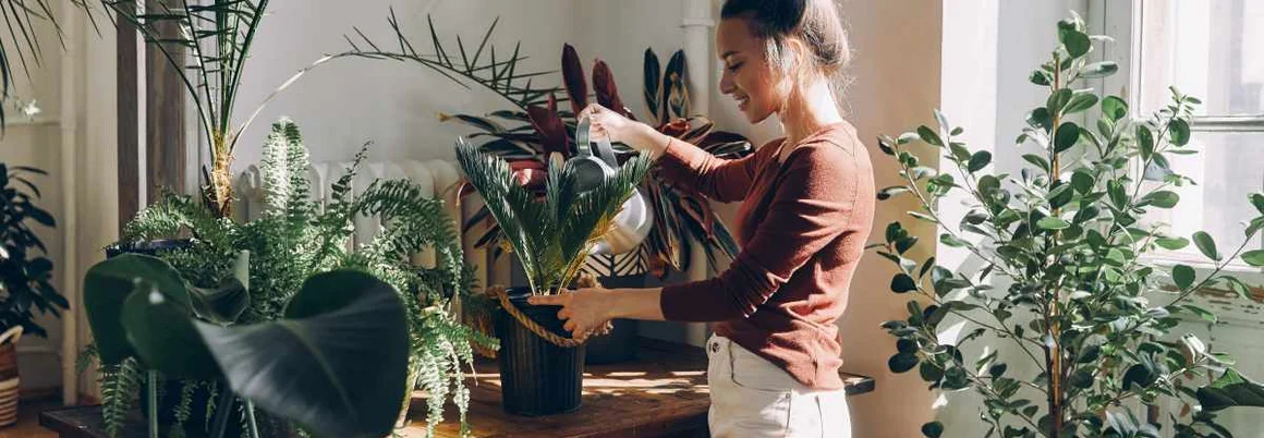 Frau steht in einem Raum voller Pflanzen und gießt diese